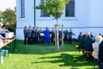 MGV Männerchor MGV Männerchor